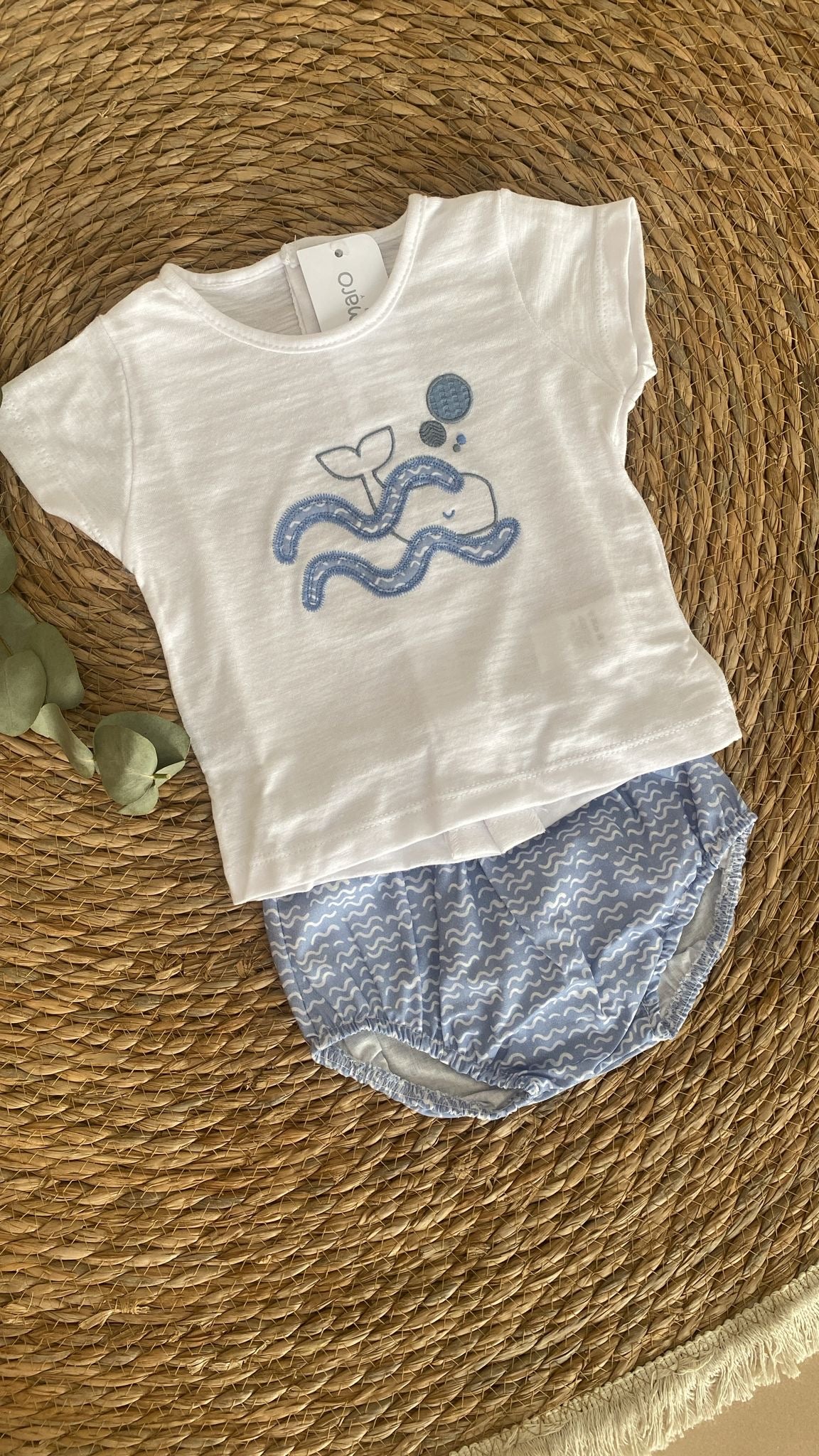 Conjunto Pololo Sikar