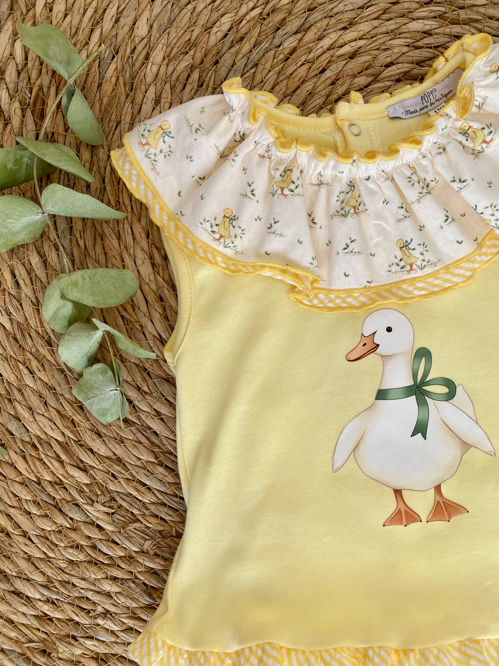 Conjunto niña Familia Pato