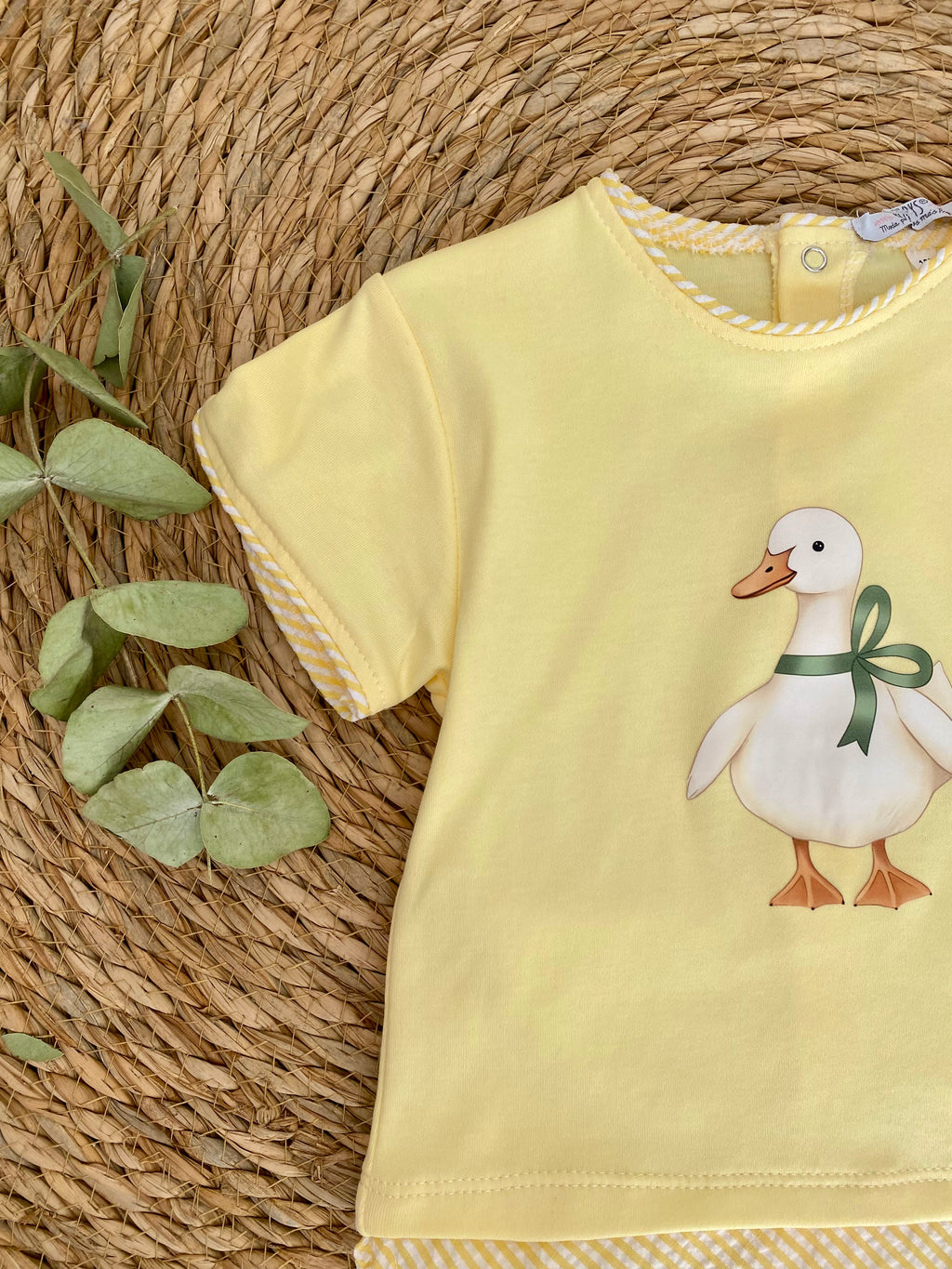 Conjunto Familia Pato